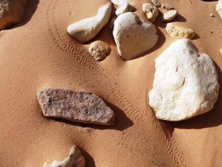 Käferspur im Sand Käferspur im Sand